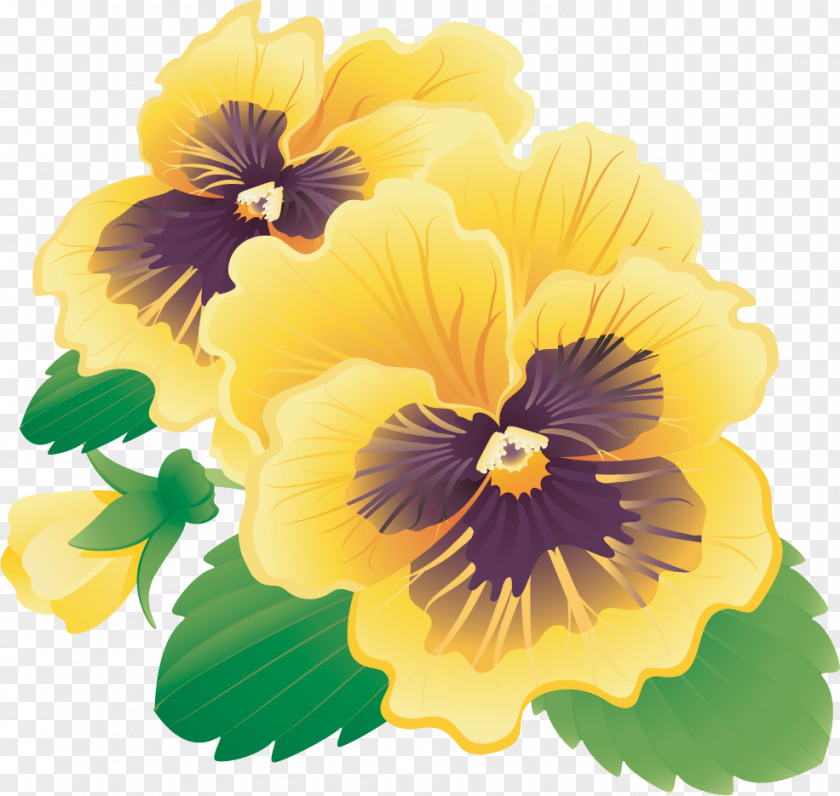 Pansy Clip Art PNG