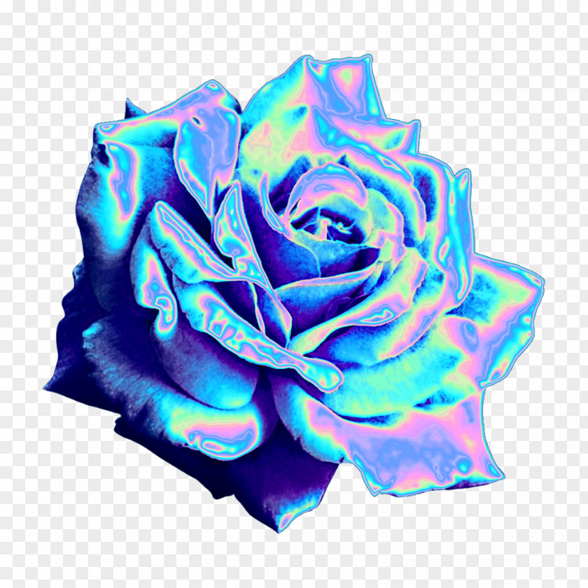 Aesthetic Rose Tumblr Sticker Image PicsArt Photo Studio Photograph PNG