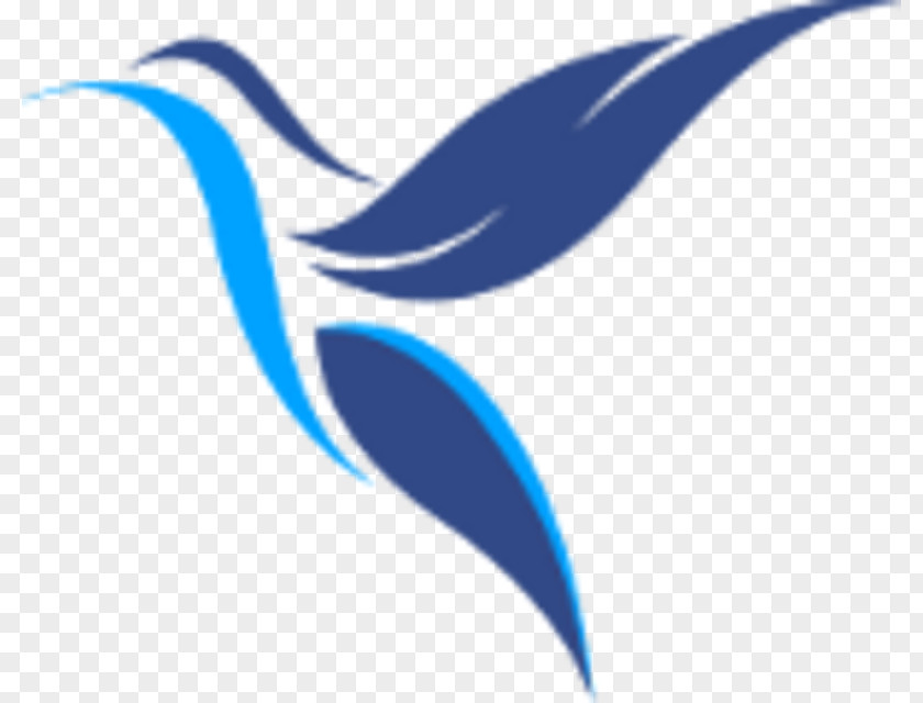 Bird Logo Clip Art PNG