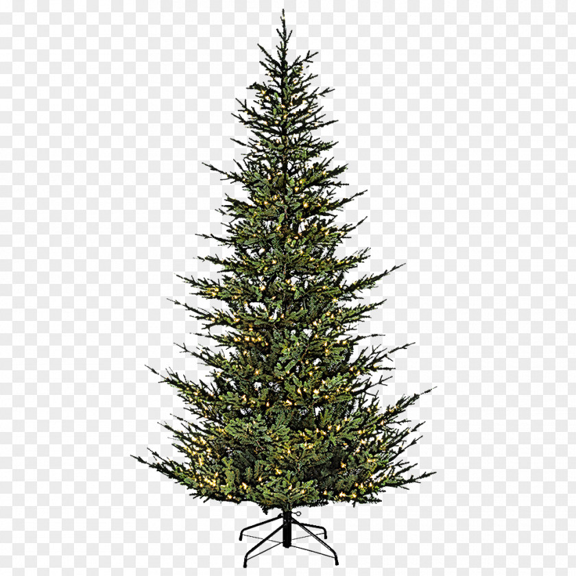 Christmas Tree PNG