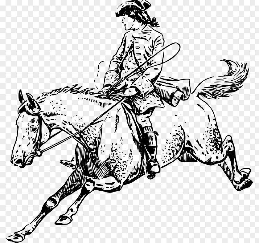 Horse Equestrian English Riding Bridle Clip Art PNG