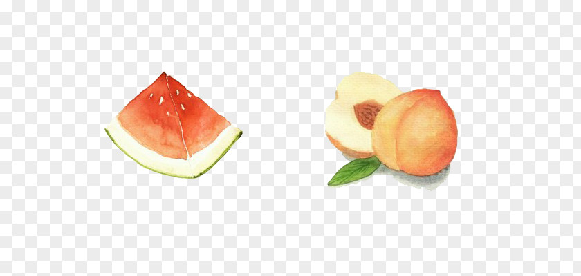 Peach And Watermelon Peel Auglis PNG