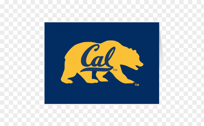 University Of California, Berkeley California Golden Bears Football Men's Basketball Oski Water Polo PNG