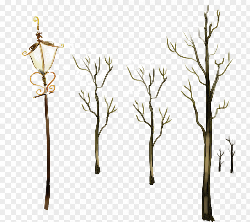 Winter Branches Branch Computer File PNG