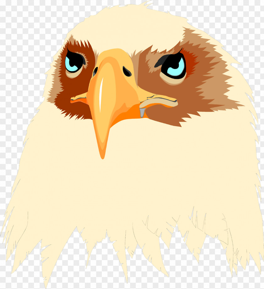 T-shirt Bald Eagle Bird Hoodie PNG
