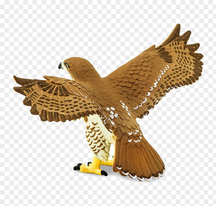 Eagle Red-tailed Hawk Bird Safari Ltd PNG