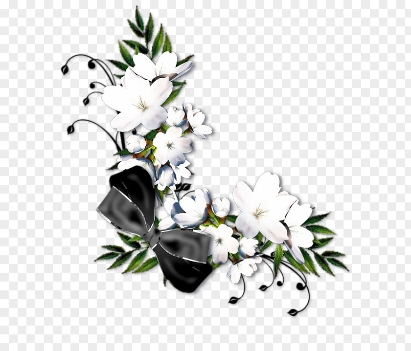 FLOR BLANCA Floral Design Flower White Clip Art PNG