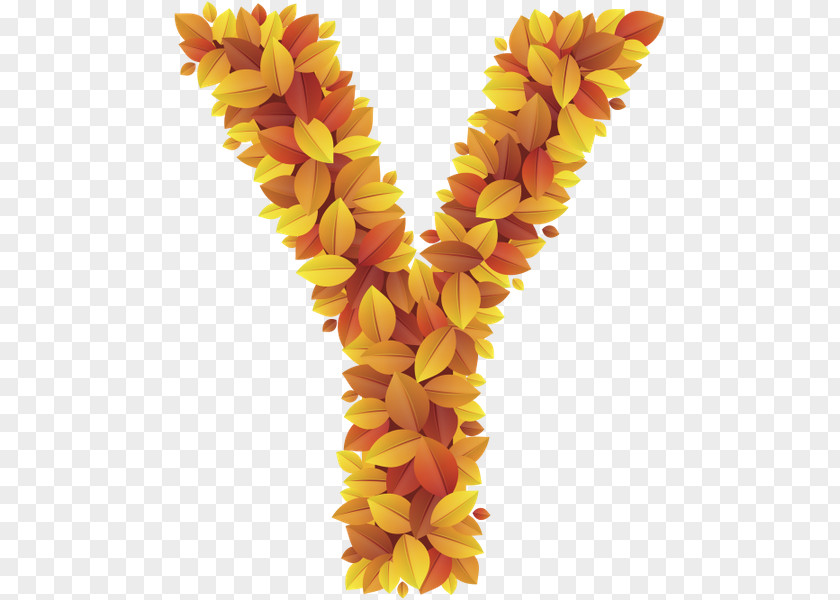 Flower Lettering English Alphabet PNG