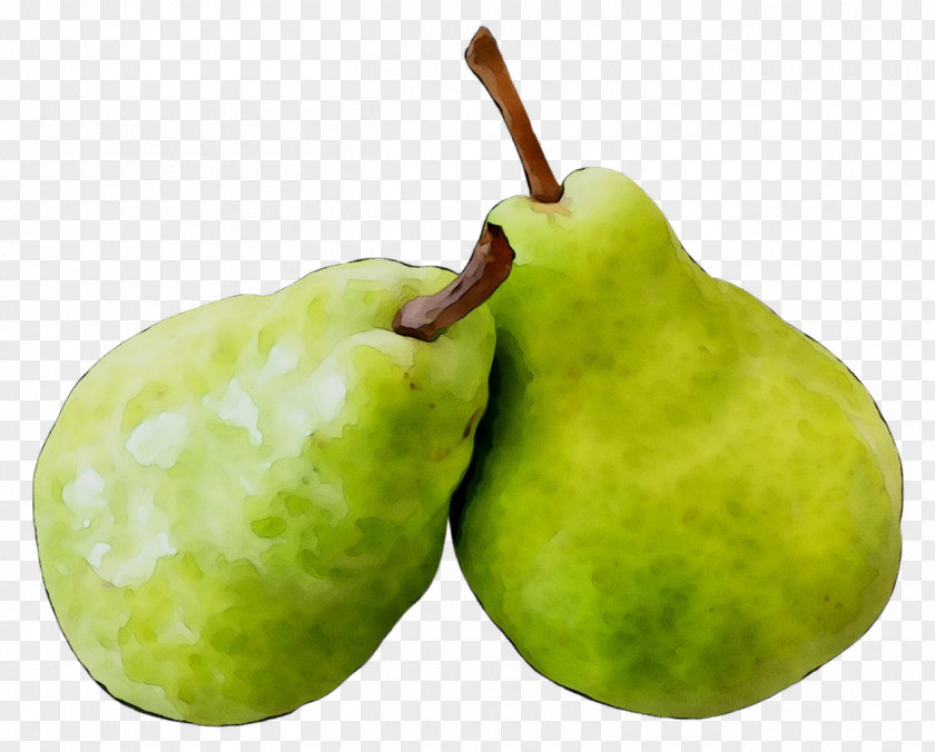 Pear Apple Fahrenheit PNG