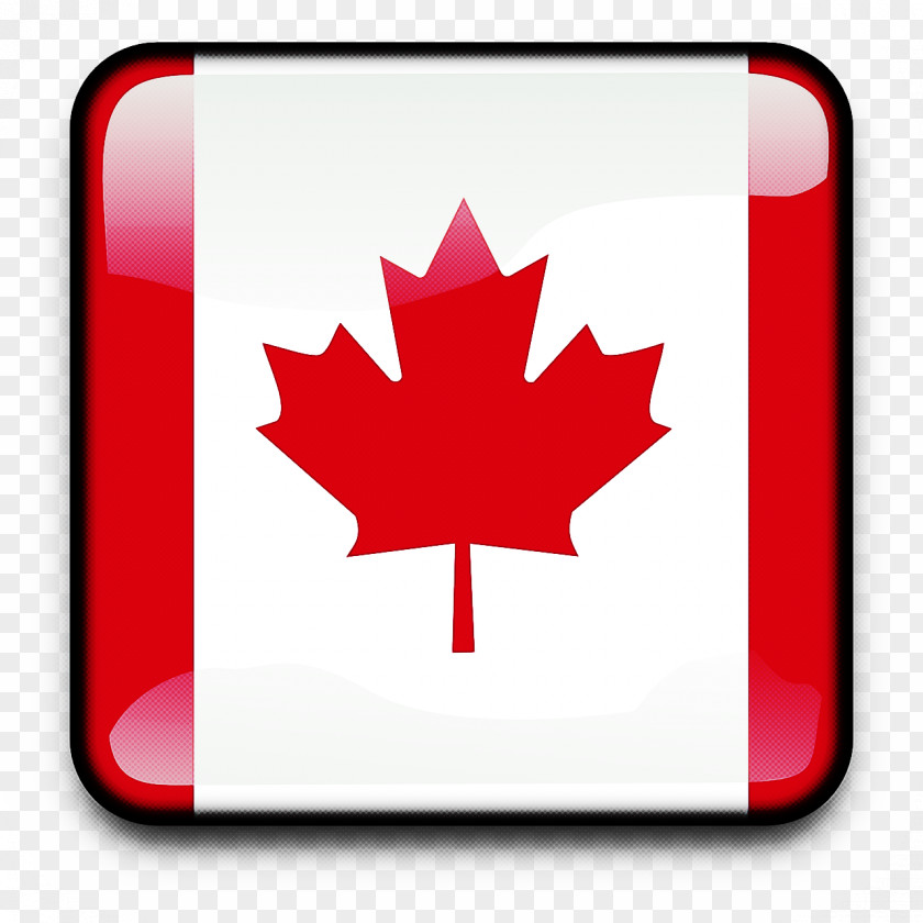 Symbol Soapberry Family Maple Leaf PNG