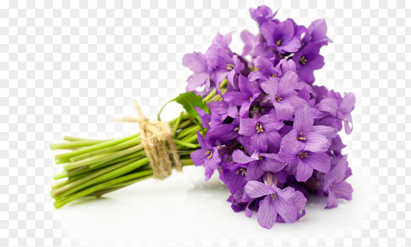 Violet Flower Bouquet English Lavender Cut Flowers PNG