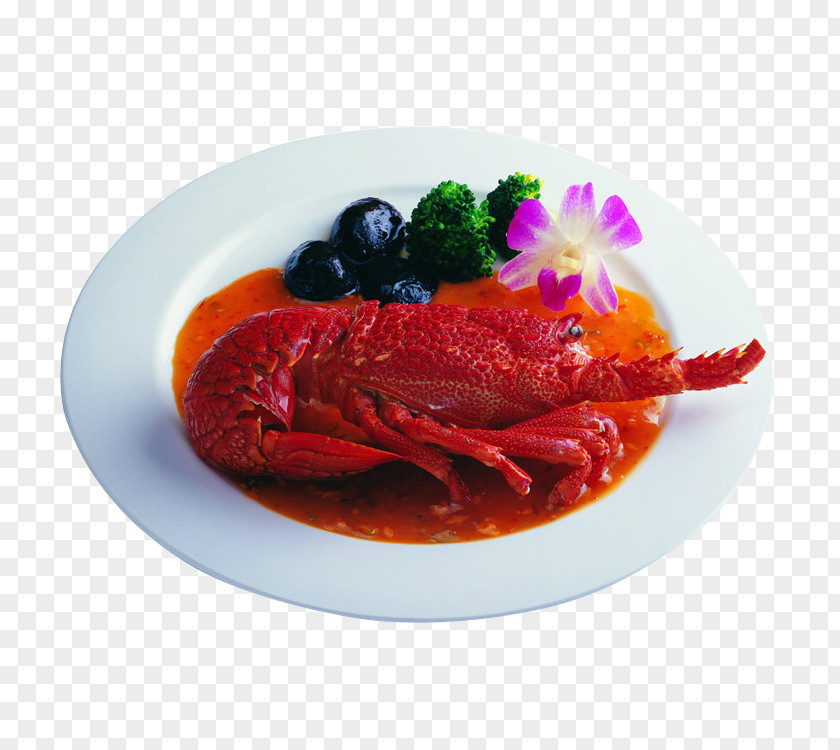 Australian Wild Lobster Sashimi Caridea Palinurus Seafood American PNG