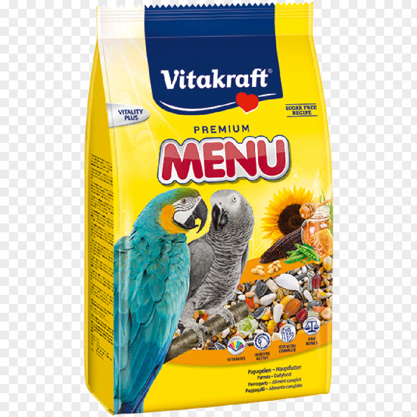 Bird Budgerigar Cockatiel Food PNG