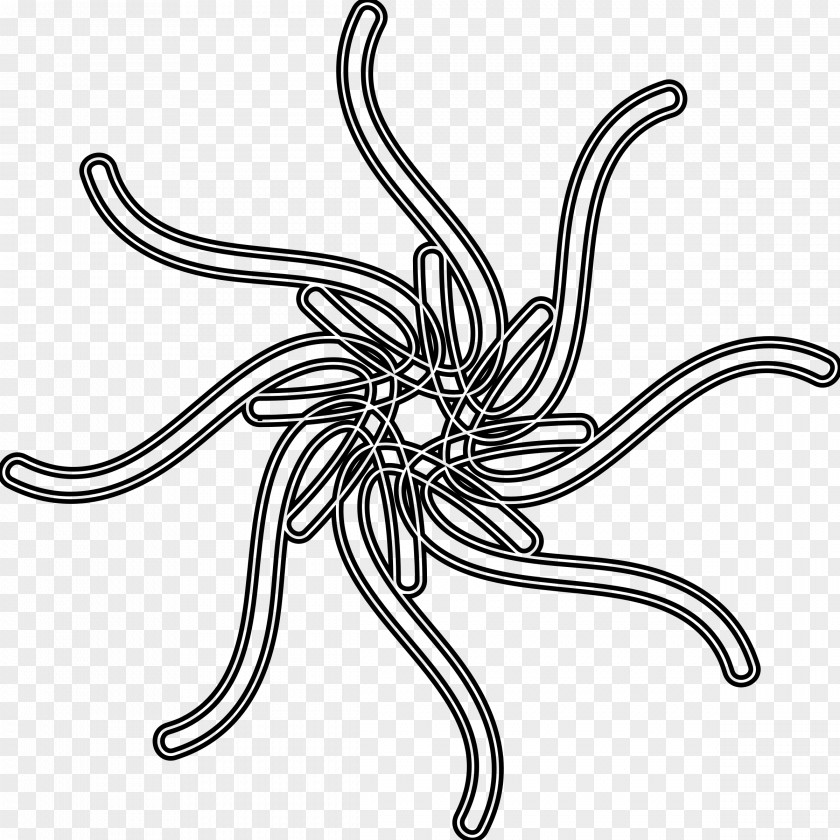 Sun Draw Drawing Line Art Clip PNG