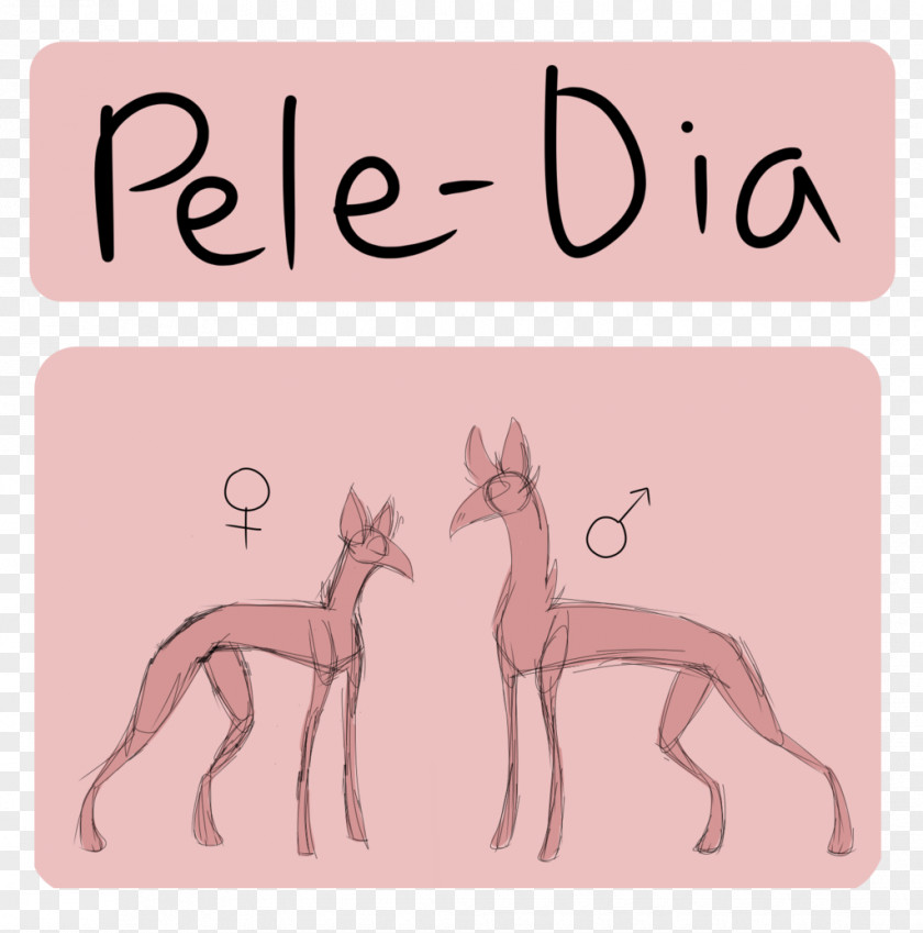 Horse Italian Greyhound Mammal Fauna PNG