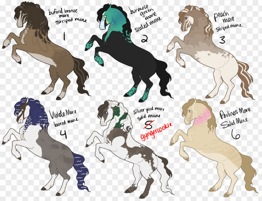 Peafowl Friesian Horse Mustang Stallion Pony Pack Animal PNG