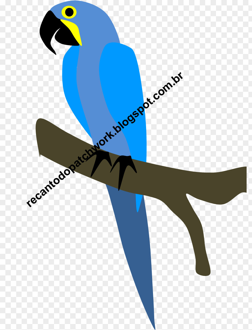 Arara Macaw Clip Art Beak Line Microsoft Azure PNG