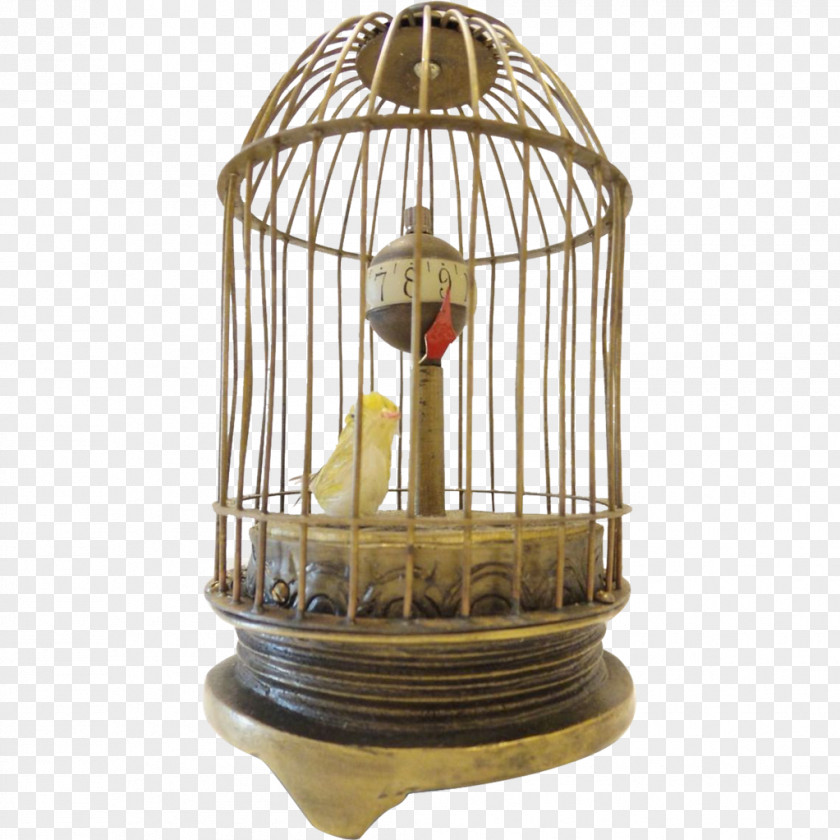 Cage Birdcage Parrot Clock PNG