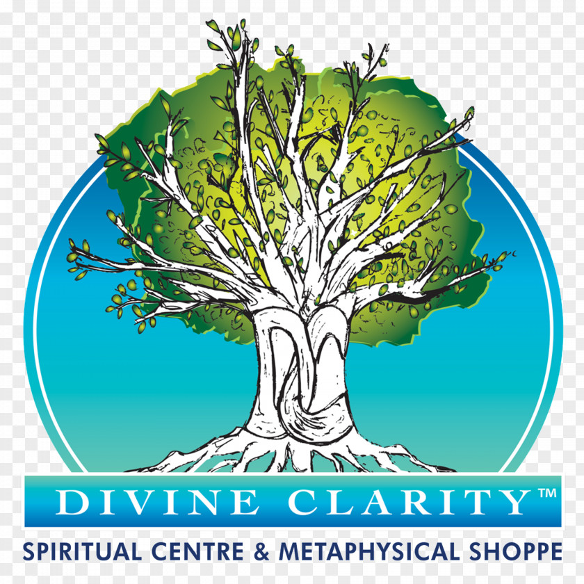 Chakra Healing Reiki Meditation Energy DIVINE CLARITY Spiritual Centre & Metaphysical Shoppe Spirituality Mediumship New Age Insights Airdrie PNG