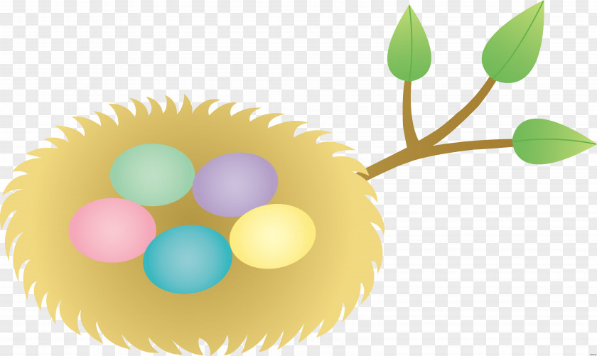 Easter Border Bird Nest Egg & Clip Art PNG