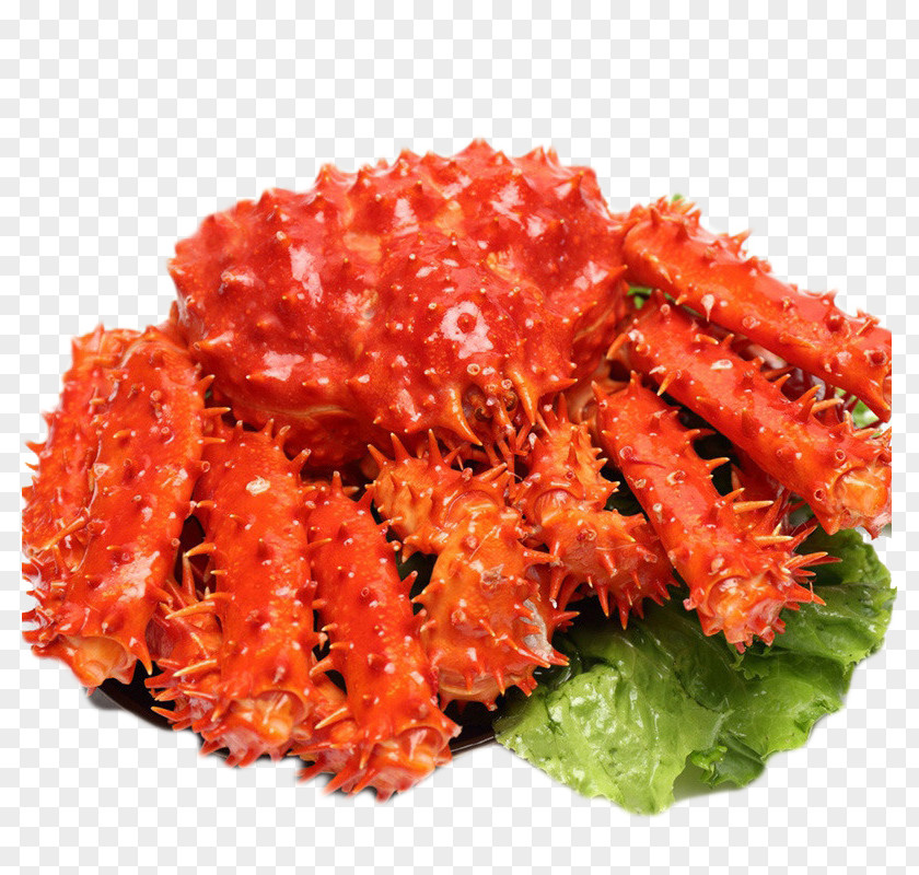 Chile Imported King Crab Red Seafood Shrimp PNG