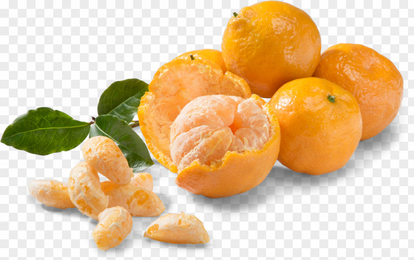Dry Fruit Mandarin Orange Tangerine Clementine Food PNG
