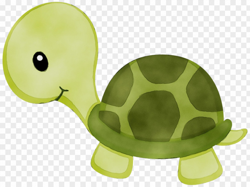Turtle Clip Art Drawing Image Blanket PNG