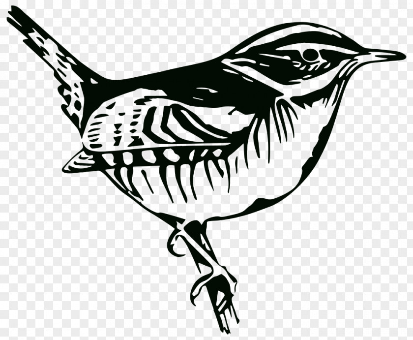 Bird Beak Silhouette Passerine Vertebrate PNG