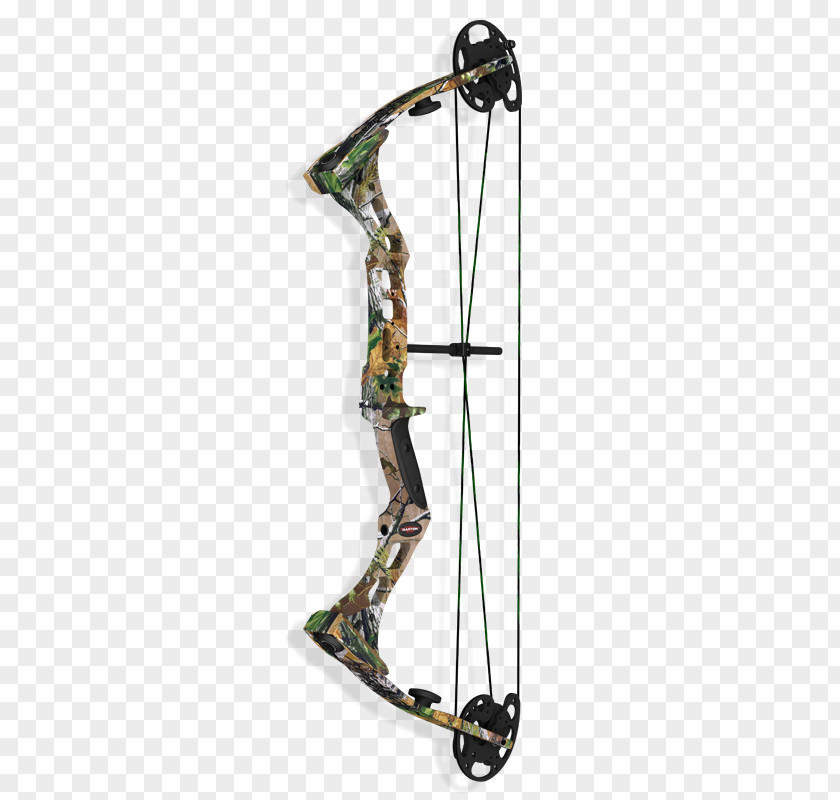 Cheetah Compound Bows Leopard Hunting Bow And Arrow PNG