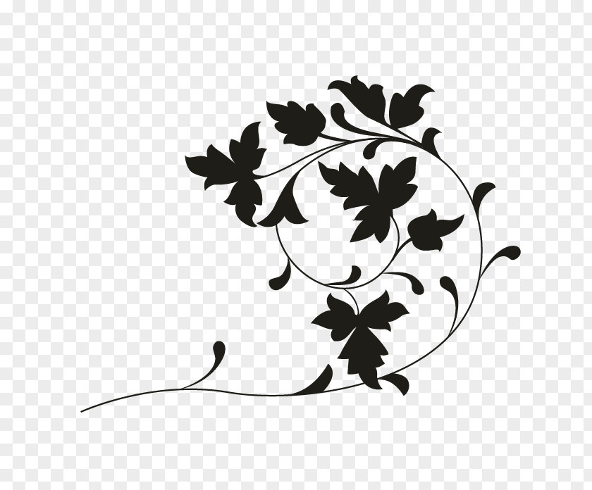 Oakleaf Hydrangea White Floral Design Clip Art PNG