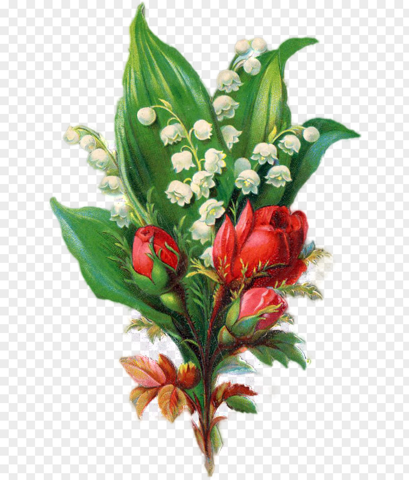 Lily Of The Valley Floral Design Paper Bokmärke Flower PNG