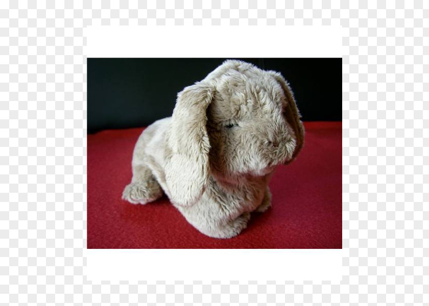 Puppy Dog Breed Stuffed Animals & Cuddly Toys Plush PNG