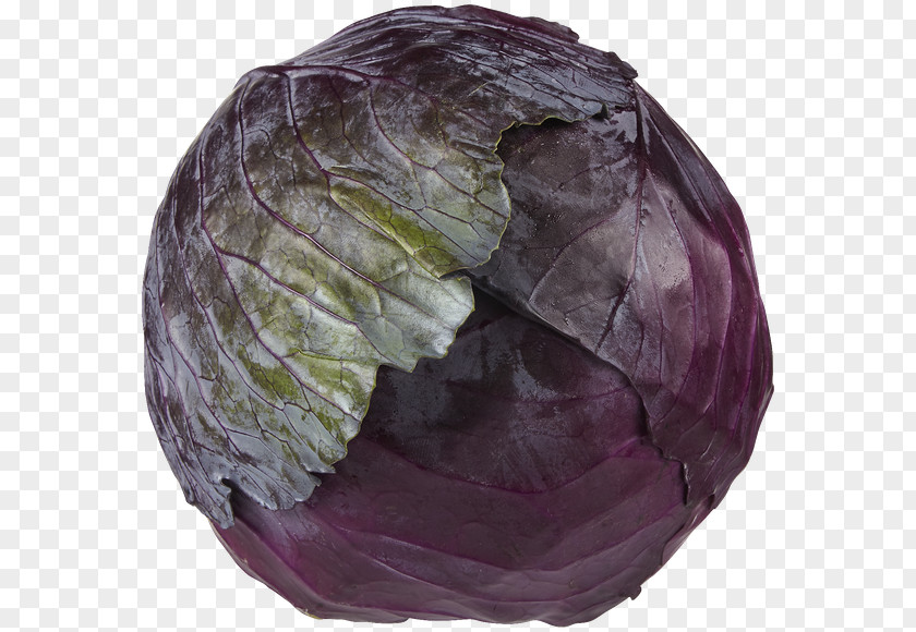 Vegetable Food Cabbage Ghormeh Sabzi Snack PNG