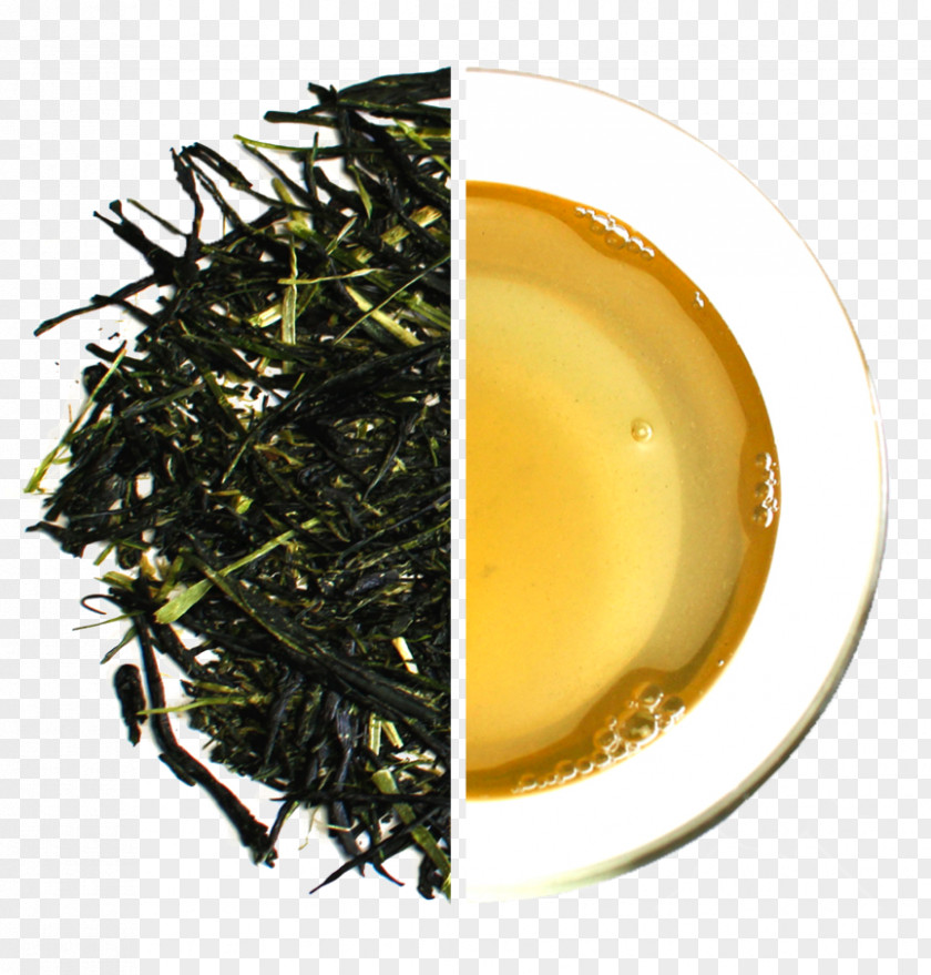 Green Tea Sencha Kabusecha Gyokuro PNG