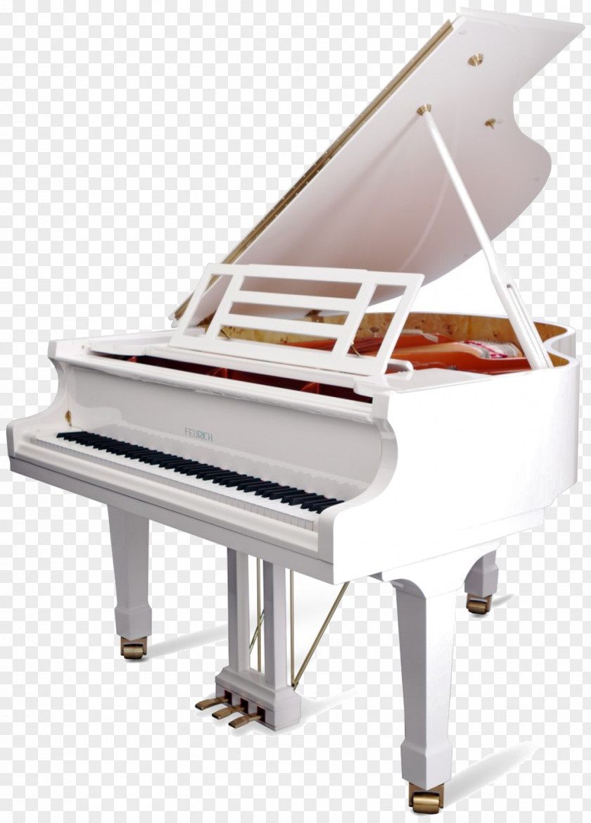 Piano Feurich Grand Hailun Musical Instruments PNG