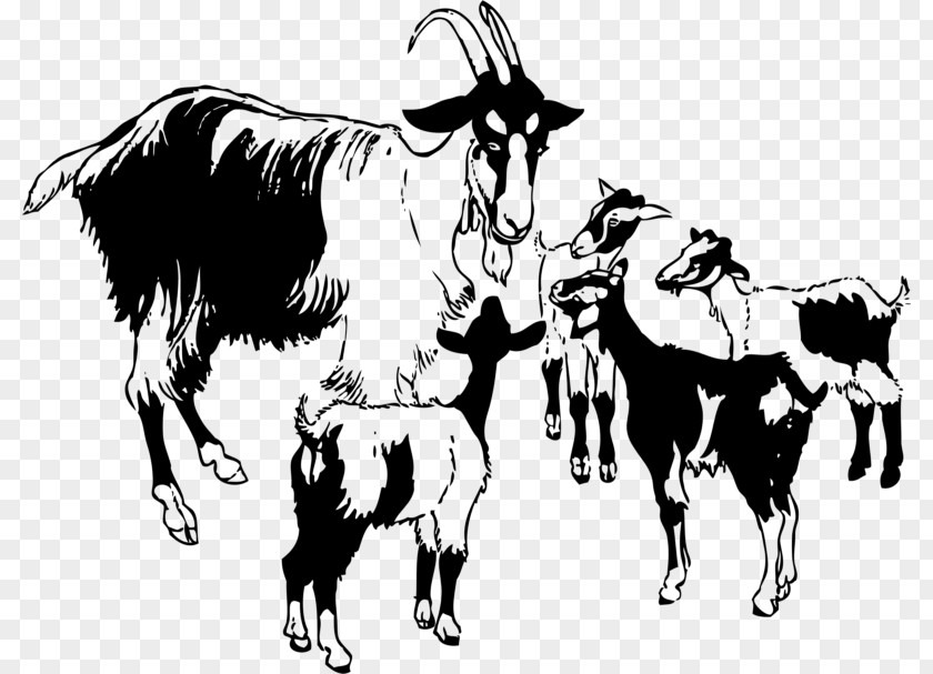Sheep Black Bengal Goat Boer Poitou Clip Art PNG