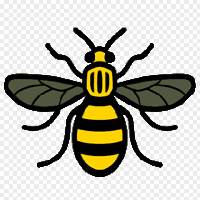 Bees 2017 Manchester Arena Bombing Worker Bee Symbols Of PNG