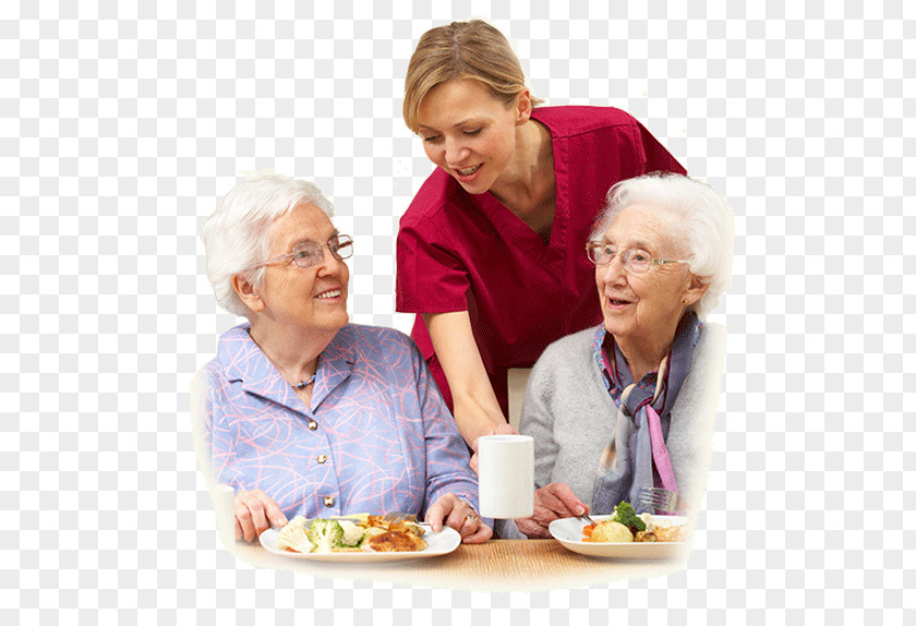 Diet Pagoda For Residents Old Age Nursing Home Care Service Residential Nutrition PNG