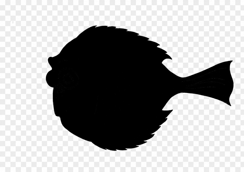 Fish Font Silhouette Black M PNG