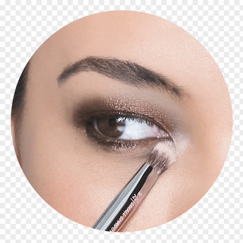 Mascara Wand Eyelash Extensions Eye Shadow Liner Cosmetics PNG