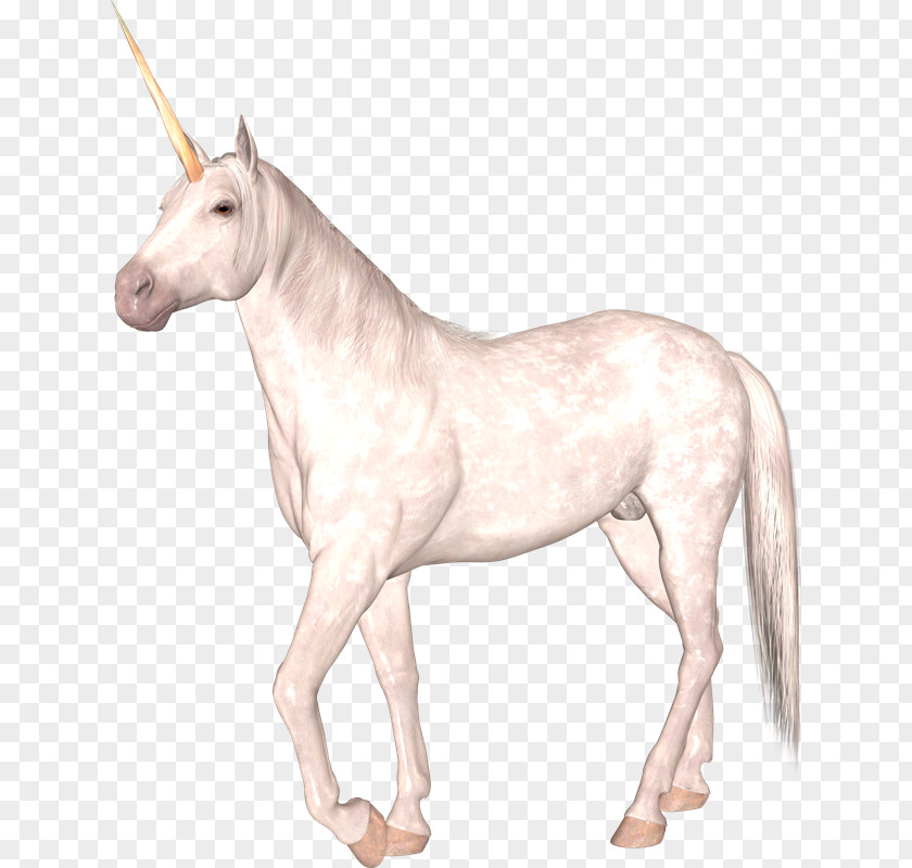 Mitologia Horse Unicorn Mane Watercolor Painting PNG