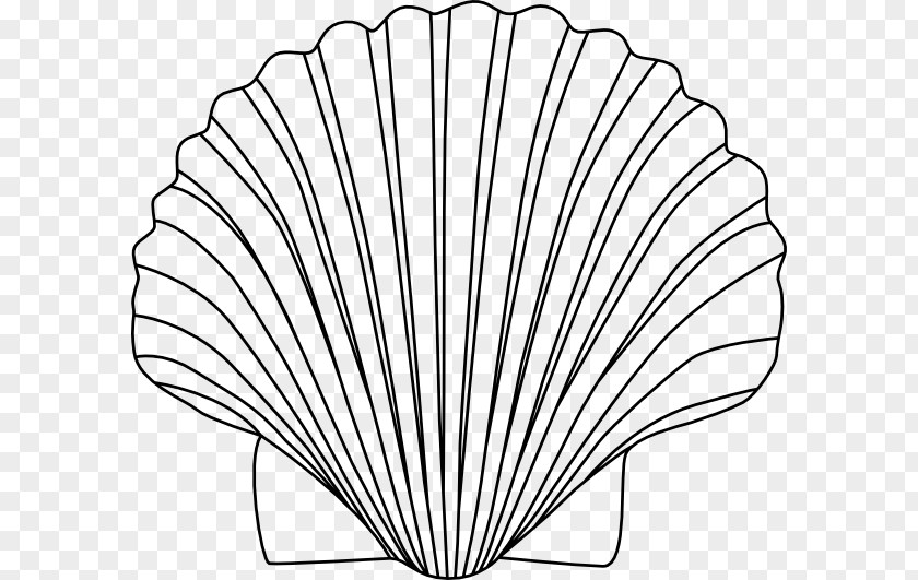 Shelled Seashell Clip Art PNG