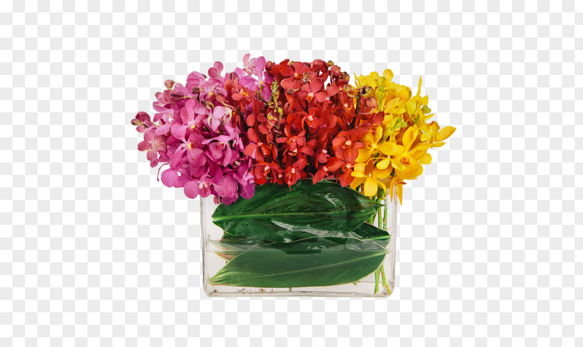 Tropical Flowers Orchids Floral Design Cut Flower Bouquet Flowerpot PNG