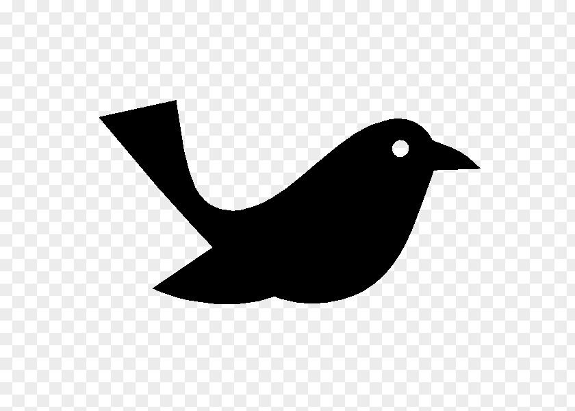 Bird Beak Shape Clip Art PNG