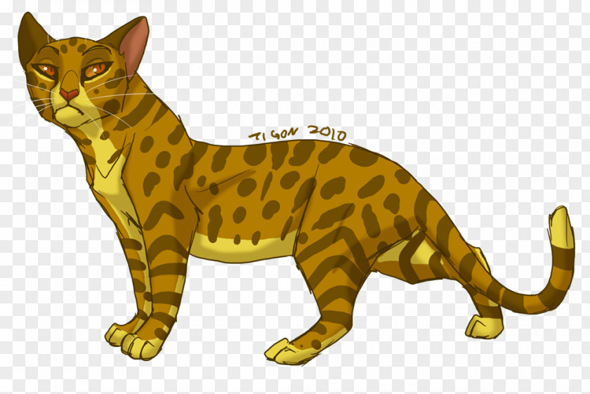 Cat Cats Of The Clans Warriors Leopardstar Erin Hunter PNG