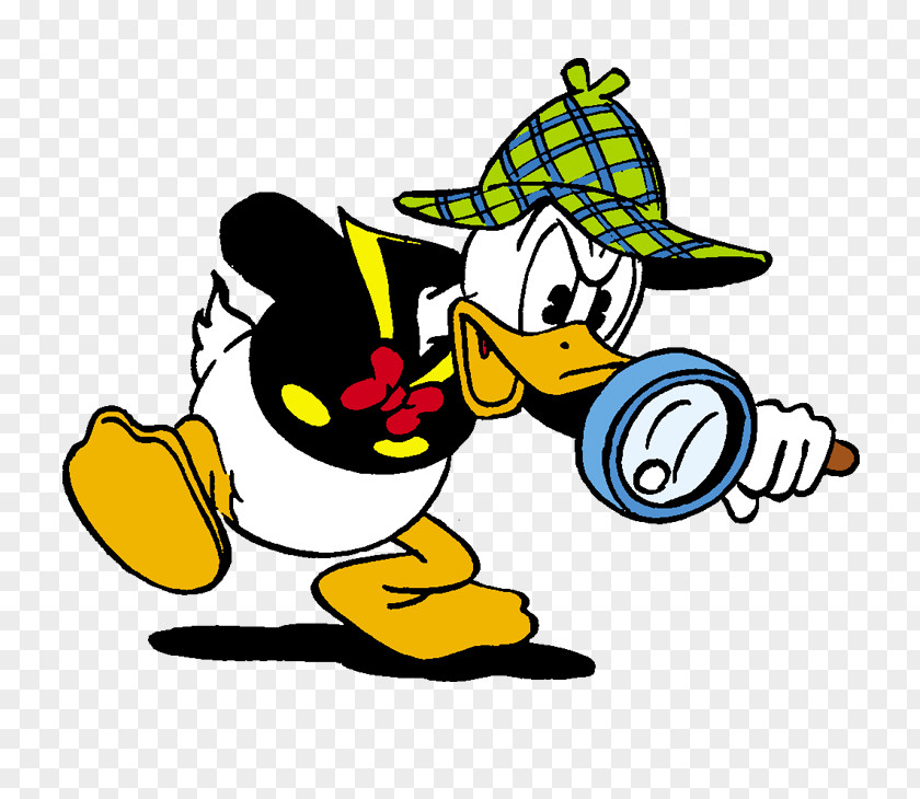Donald Duck Domestic AKU. Goose PNG