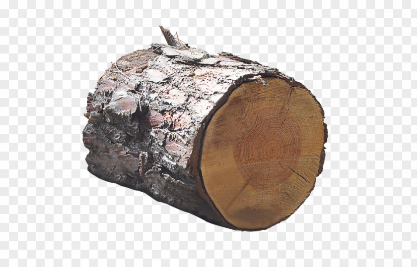 Fallen Trunk Tree Wood PNG