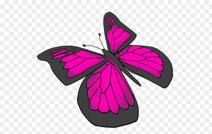 Pink Butterfly Purple Drawing PNG