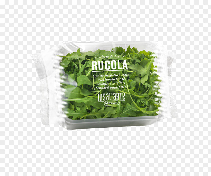 Salad Lettuce Arugula Carpaccio Vegetable PNG