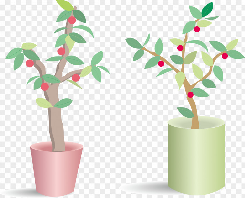 Coral Cherry Potted Houseplant Vector Flowerpot PNG